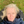 Profielfoto van Renate